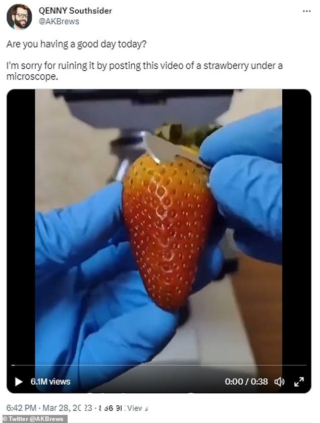 在显微镜下观察时,可以看到无数微小的螨虫在果实上蠕动