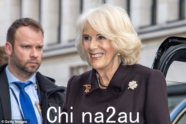 卡米拉化了华丽的妆容,涂着深粉色的唇膏和柔和的棕色眼影