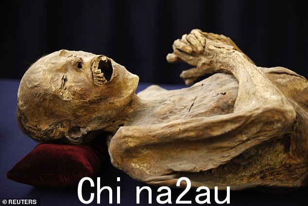 警告:一具保存完好的尸体在 1800 年代无意中被木乃伊化,现在在墨西哥展出,专家说,这具尸体可能有“真菌生长”,可能会传播给游客” class =