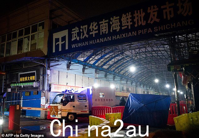 但其他 Covid 起源理论指出,武汉华南海鲜批发市场(如图)饲养的动物是疫情的中心。2019 年 12 月和 2020 年 1 月的许多最早病例都曾到过该地点,那里有活体动物were sold
