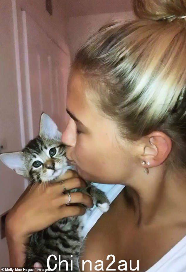 Pussy cat:爱岛明星,23 岁,在揭示它非常独特的藏身之处之前开玩笑说这是动物冒险的“最新一集”