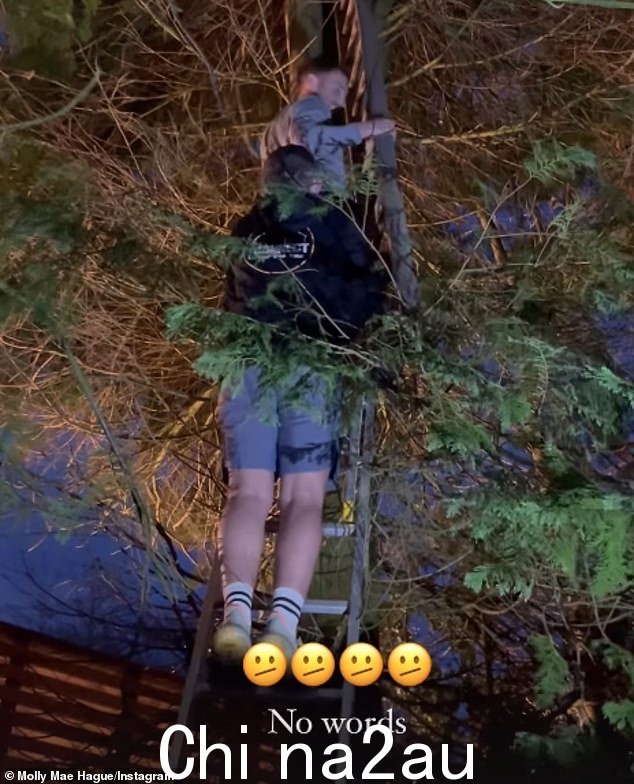 救援!几小时后,这只动物被她 23 岁的男友 Tommy 救了出来,今年早些时候她和她一起迎来了女儿 Bambi,并通过一个巨大的梯子结识了一位朋友