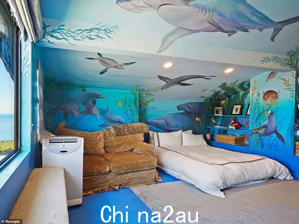 壁画:迪安在房间里画了一幅华丽的海豹生活壁画,这很可能属于他 22 岁的克里斯托弗在他成长过程中的房间。海豚、海龟和鲨鱼覆盖天花板和装有内置架子的墙壁