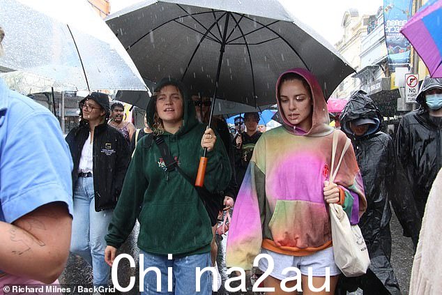 趁着这一天用来造势反对不公正,它也赞扬性别多样化的身份、他们的成就和他们的社区