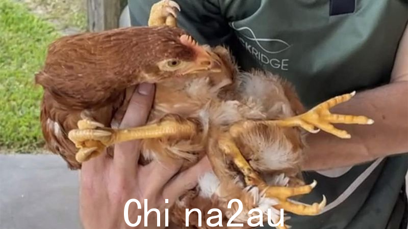 微信Picture_20230404182839.png,0