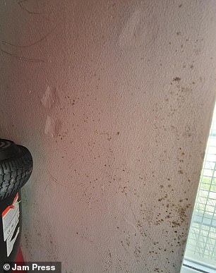 两居室墙壁上的模具