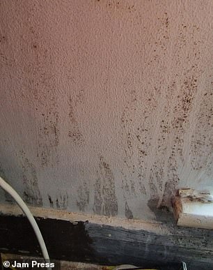 Mould in Kayleigh's flat