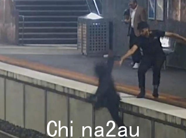 震惊的旁观者试图阻止通勤者在圣奥尔本斯掉到铁轨上,但无济于事