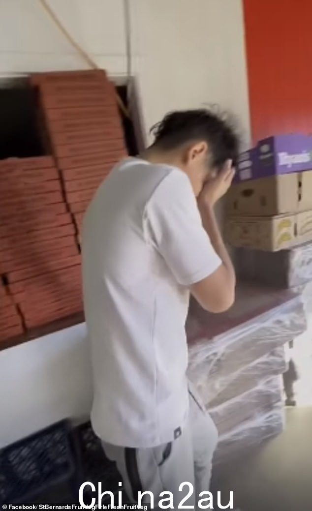 看到企业主 15 岁的儿子冲向他父亲的防卫,因为他们都被喷了胡椒喷雾。可以看到男孩痛苦地逃跑