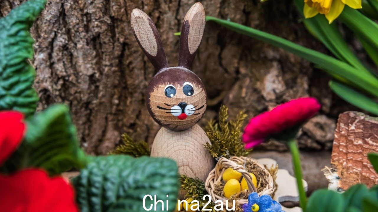 澳大利亚人选择更便宜的复活节生活成本压力下的假期” /><p>昆士兰州政府已与 RPSCA 合作,在复活节假期前向该州的狗主人发出警告。</p><p>在一份声明中星期四,昆士兰人被建议确保巧克力远离狗,以避免“非常危险”的情况。</p><p>狗主人被告知角豆树是他们宠物的安全替代品,而不是含有可可碱的巧克力并可能导致呕吐和腹泻。</p><p>“可可碱会引发家畜的一系列问题,因为它会触发肾上腺素的释放,从而导致心率大大加快和心律不齐,”RSPCA 负责人兽医 Anne Chester 博士说。</p><p>“宠物会呕吐、腹泻和排尿过多并变得过度活跃。这之后可能会出现抑郁、昏迷、癫痫发作和死亡。</p><img class=