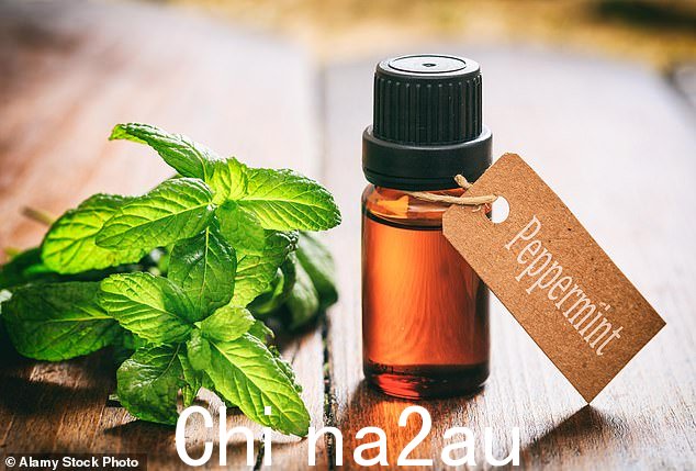 对于研究人员来说,薄荷油的存在可以减少驾驶员的压力和攻击性等负面情绪(库存图片)