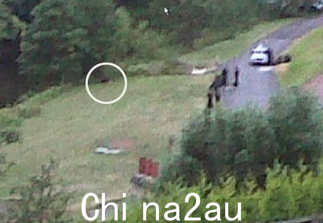 警察在逃犯 Raoul Moat 死前不久与他谈判。这是一次非同寻常的搜捕行动,在与武装警察进行了 6 小时的紧张对峙后,疯狂的枪手开枪自杀。” class=