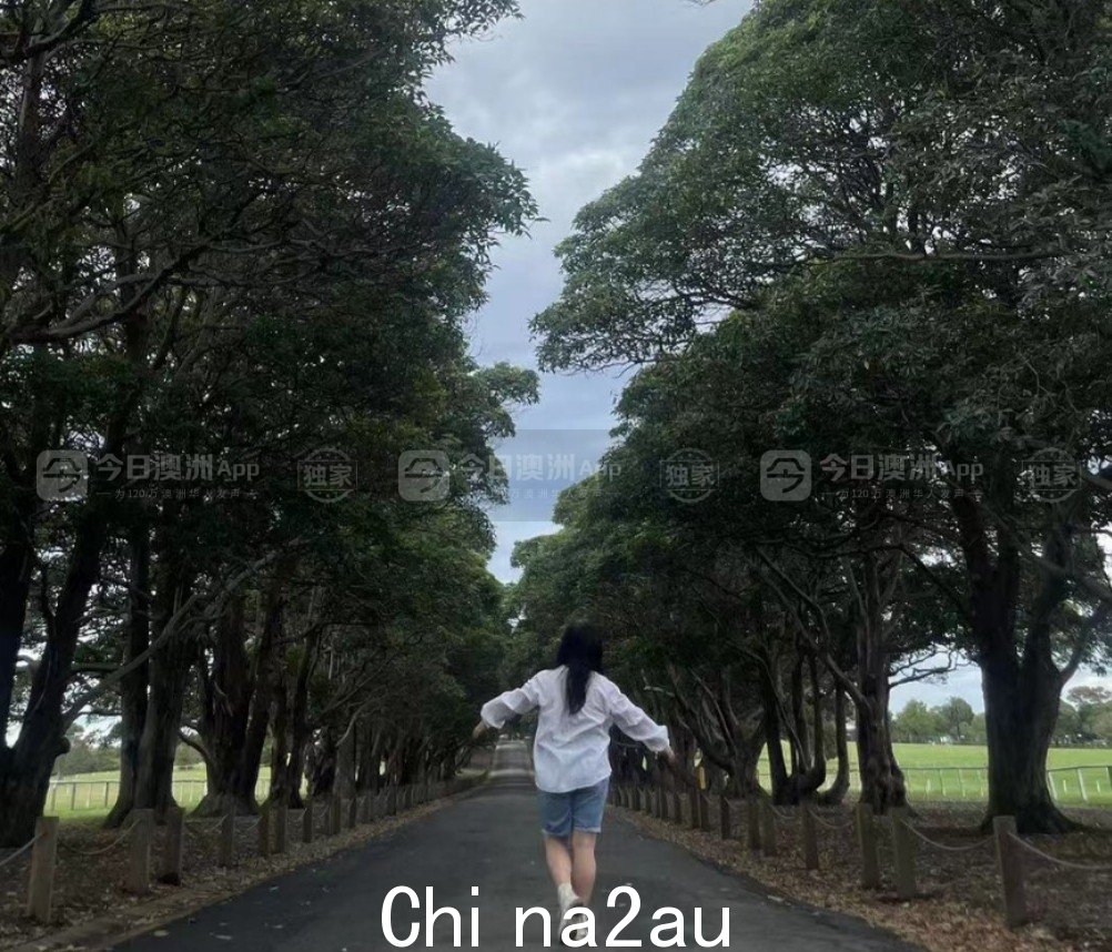 WechatIMG1279.jpeg,17