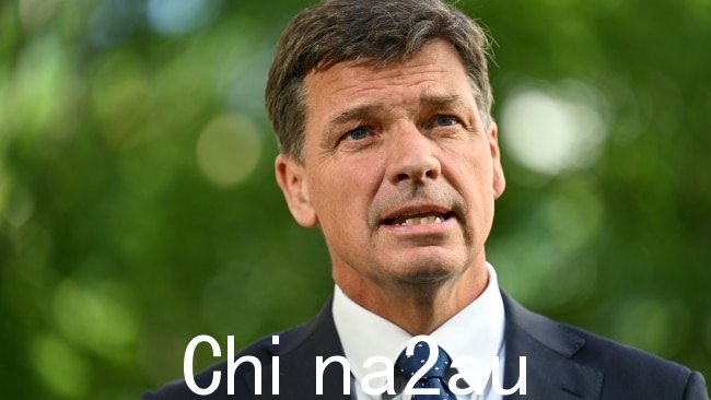 影子财长安格斯泰勒表示,LMITO 旨在“在中低收入者最需要的时候为他们提供有针对性的救济”。图片:Getty