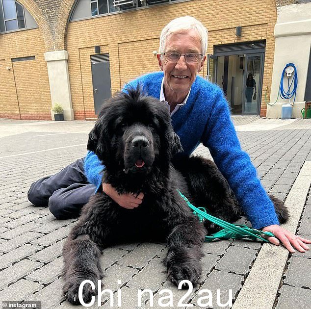情绪激动:已故的保罗·奥格雷迪 (Paul O'Grady) 在帮助一只名叫佩吉 (Peggy) 的狗(如图)帮助她恢复健康后,向他表达了情感告别,这让他悲伤的粉丝们流下了眼泪