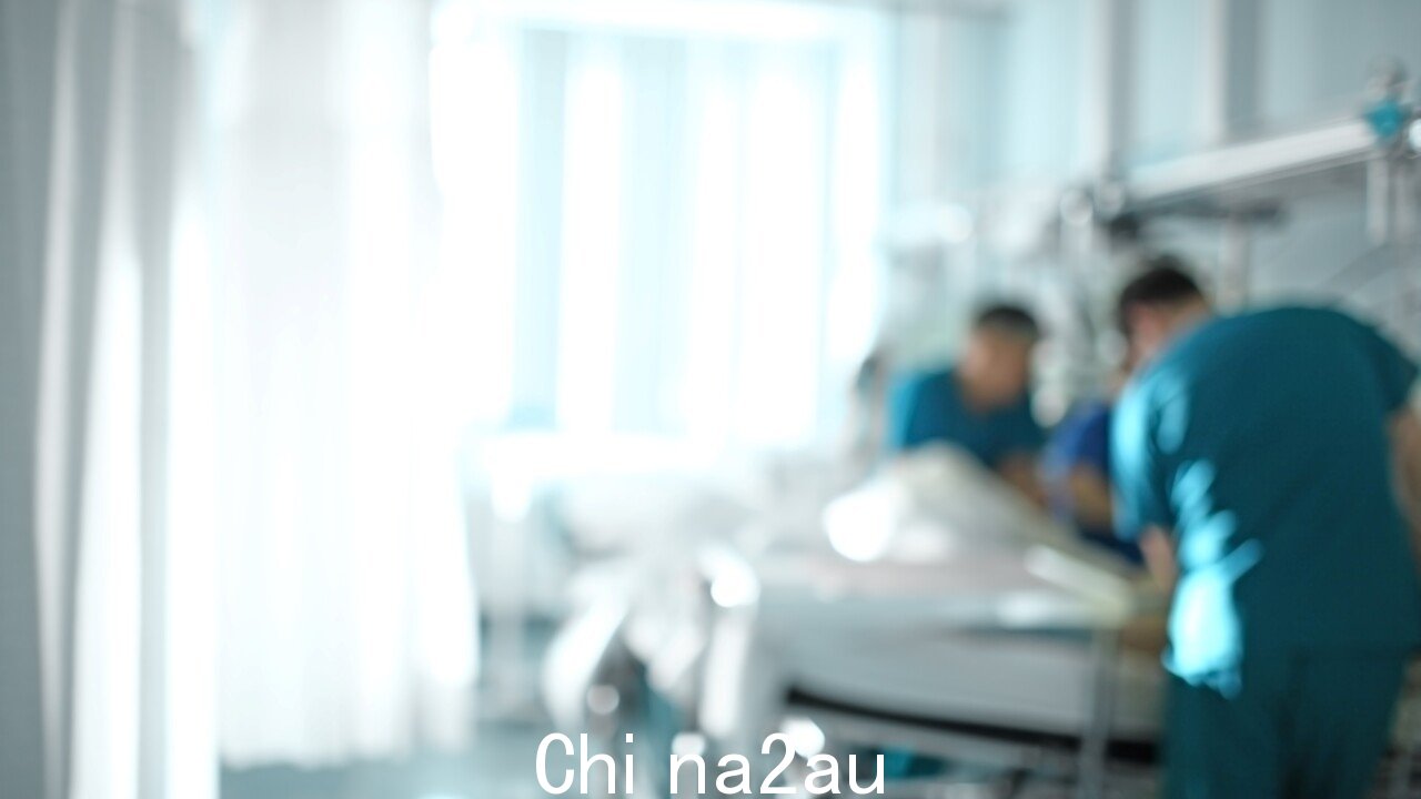 六岁女孩在严重的狗袭击后住院” /><p>参与恐怖袭击的两只狗在昆士兰南部导致一名年轻女孩受重伤,已被“迅速和人道地安乐死”。</p><p>洛根市议会周一下午,在伍德里奇发生袭击事件后,市议会宣布两名未登记的 Bull Arabs 被抓获,议会发言人透露他们已于周二被逮捕。</p><p>6 岁的 Laquarna Palmer 周一被紧急送往昆士兰儿童医院在肩部、腹部和胸部受伤后情况严重。</p><p>在接受评估以确定她的受伤是否造成任何内部损伤时,她的情况仍然严重但稳定。</p><img class=