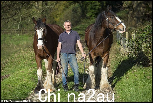 演员 Martin Clunes 在多塞特郡比明斯特附近 130 英亩的农场里与两匹马合影