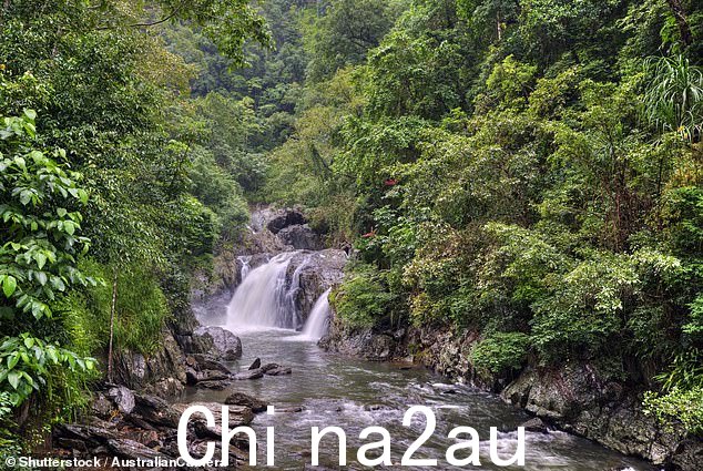 这两名男子在凯恩斯以西约 20 公里的 Crystal Cascade Waterfall 被从水中拉出,失去知觉