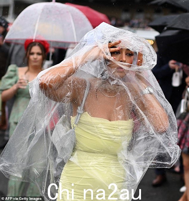 这个穿着鲜艳的狂欢者穿着雨披,穿过场地时从外面看