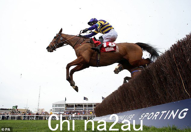 Grand National 的严谨外观绝对是为 Corach Rambler 量身定做的(上图)