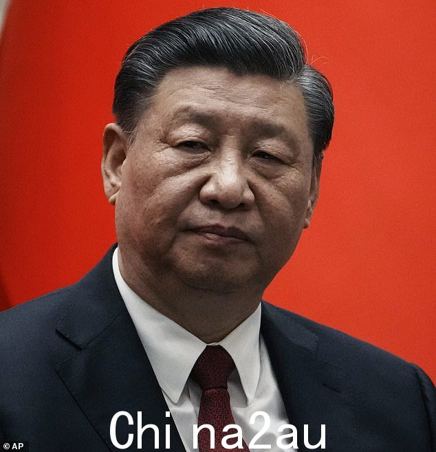 活动人士担心新的带有警车标志的车辆可能是中国国家主席习近平恐吓海外中国移民的最新升级