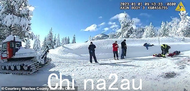 在视频的一帧中可以看到雪猫停了下来
