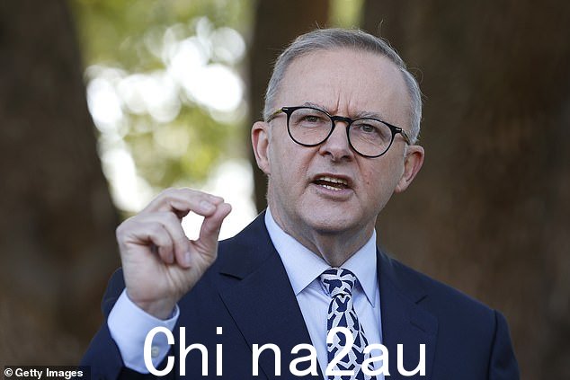 Albanese 政府将在今年年底前起草一项新的燃油效率标准,以限制汽油和柴油车辆的污染(如图,总理 Anthony Albanese)