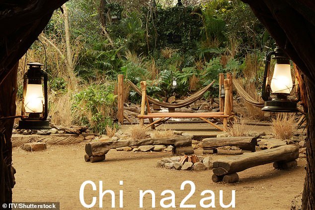 设置:床用木桩从地面升起,以保护星星免受敏锐的爬虫的伤害,但不提供毛绒床垫