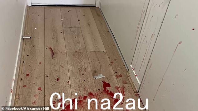'今天的内容是“STAG IN THE HOUSE!到处都是血!”,希尔先生在网上写道“class=