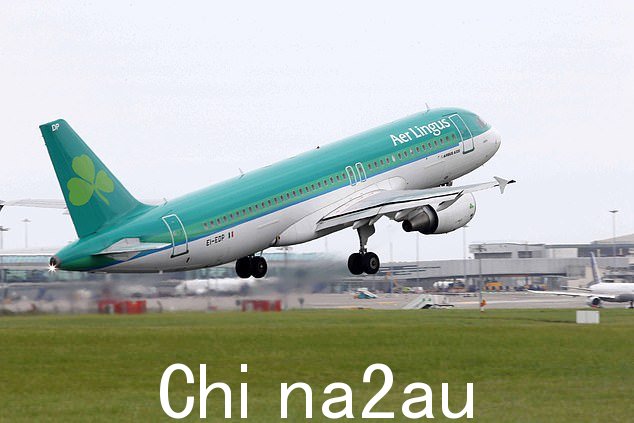 本月早些时候,爱尔兰航空公司的一架客机在起飞几分钟后被迫在都柏林紧急迫降,原因是一群鸽子被吸入飞机引擎(文件图片)