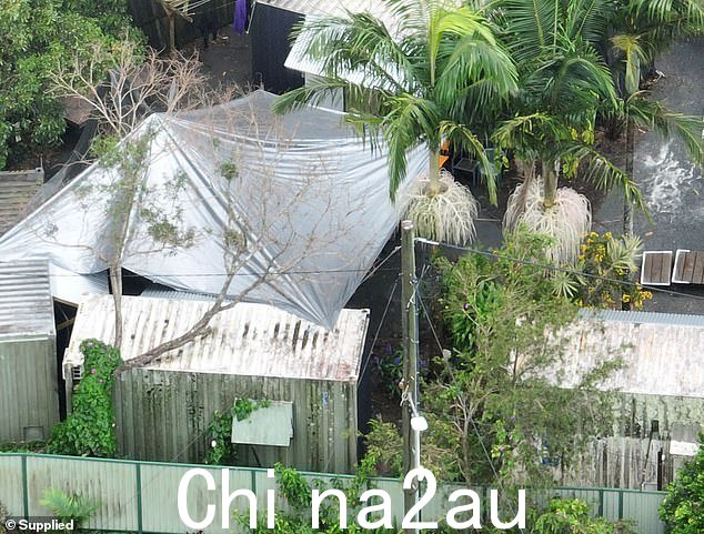 被一些居民描述为'棚户区'的假日公园即将接纳数百名来自瓦努阿图的季节性浆果采摘者