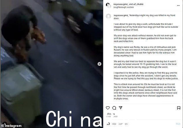 他的主人在社交媒体上发帖呼吁寻找狗的主人,并发布了一段视频,声称会立即显示袭击的后果