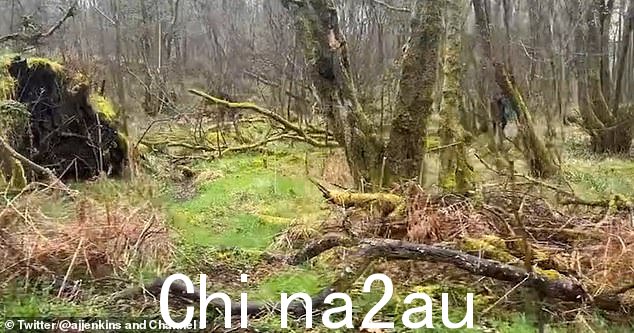 270 公顷的场地由林地、荒地和荒地组成,并由路径网络连接
