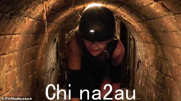 强硬:我是名人:南非球迷对 Georgia Toffolo 在周三晚上的剧集中“残酷”的第一次审判感到震惊