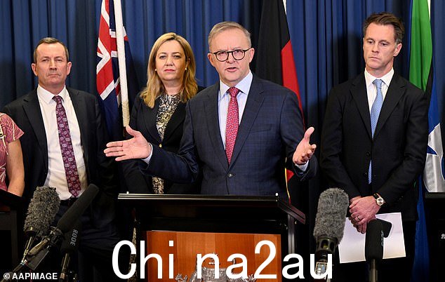 总理 Anthony Albanese(如图)在 2023 年的预测显示移民数量创历史新高后,承诺州和领地领导人将对签证政策提出更多意见