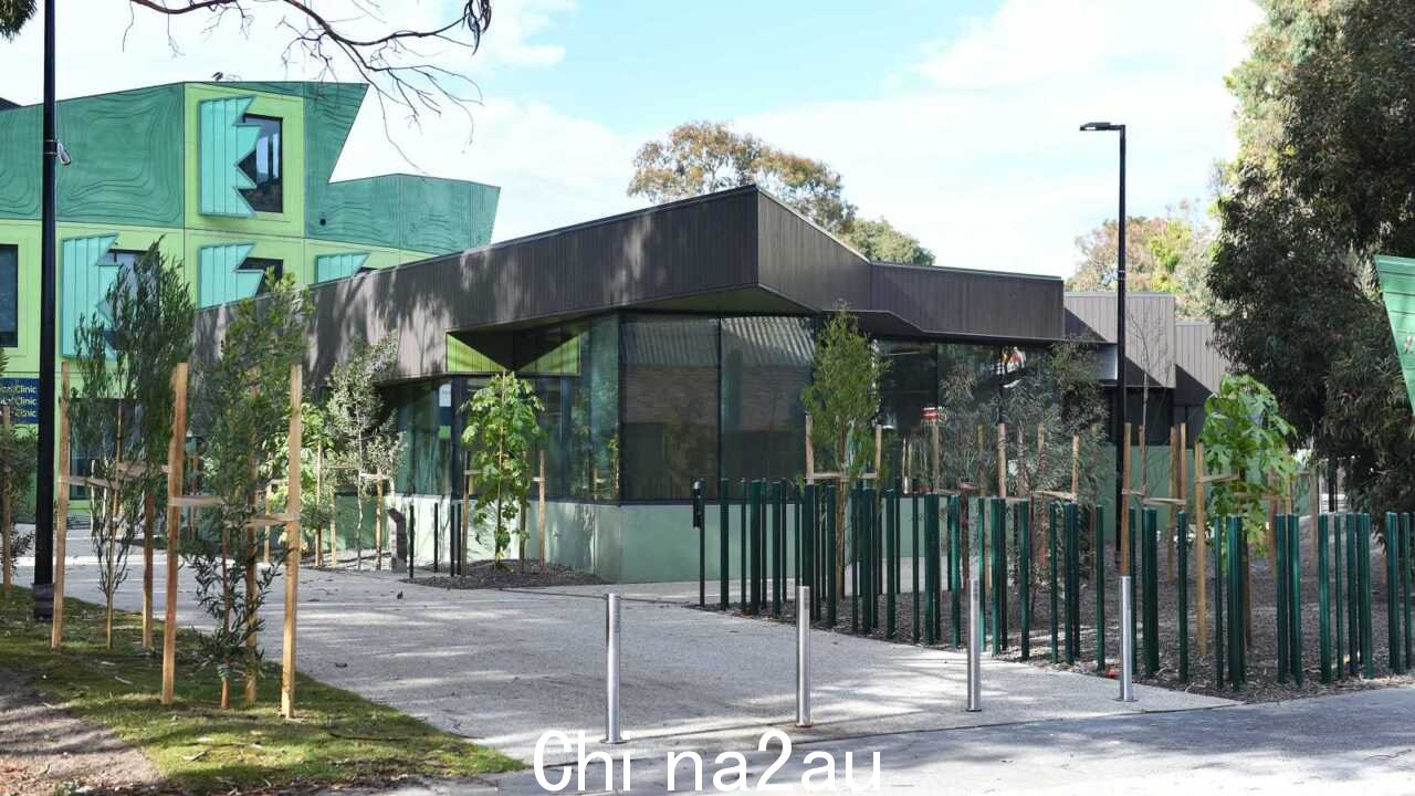 '荒谬的提议':绿党猛烈抨击推动为学生开放注射室