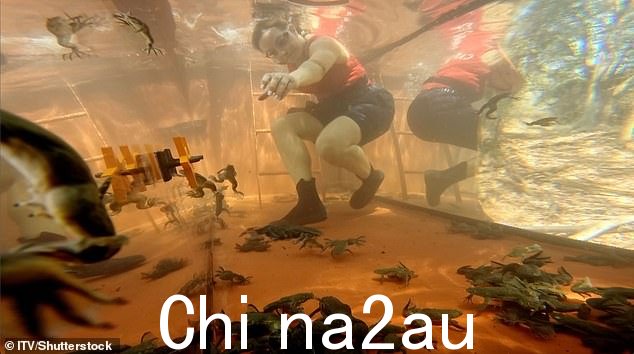 试炼与磨难:数学天才的后验被证明是周二播出的场景中的一个问题
