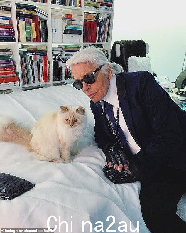 猫偶像:27 岁的说唱歌手,打扮成已故香奈儿偶像 Karl Lagerfeld 著名的宠爱猫 Choupette,她穿着闪闪发光的白色连衣裙,配以猫耳朵,掀起了一场风暴