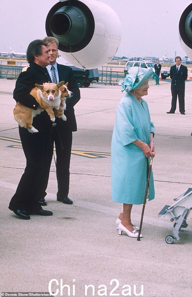 1996 年,在希思罗机场,塔伦抱着两只柯基犬走在王太后身后
