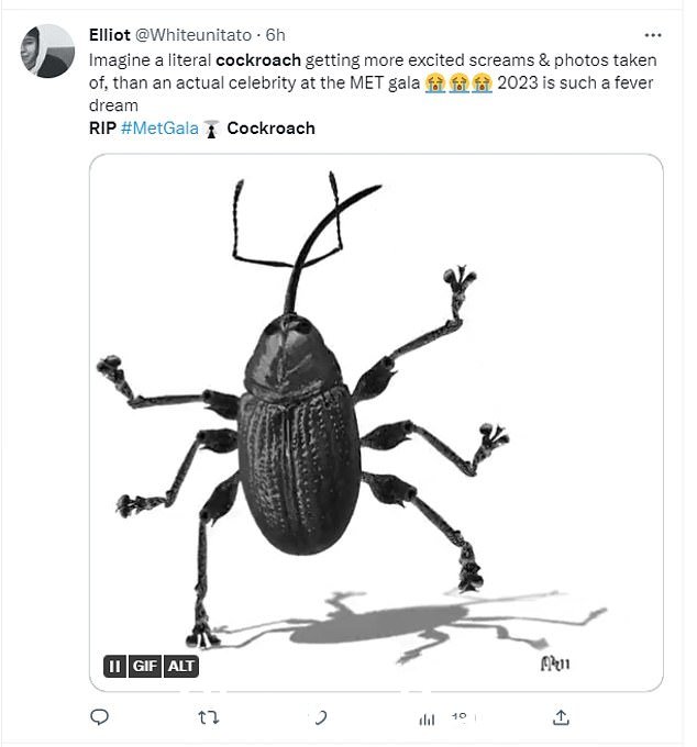 A life lived: Twitter 向失去的时尚偶像致敬,他们同时'iived and serve'
