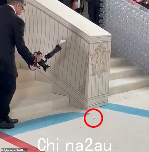 它几乎成功了!早些时候,有人看到蟑螂在 Met Gala 的奶油色地毯上飞奔,摄影师为它拍照