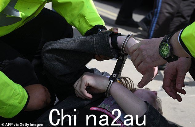 大都会警察逮捕了一名 Just Stop Oil 气候活动家。一名前皇家保护官员让示威者需要知道,他们将在加冕典礼期间处于武装警务行动中