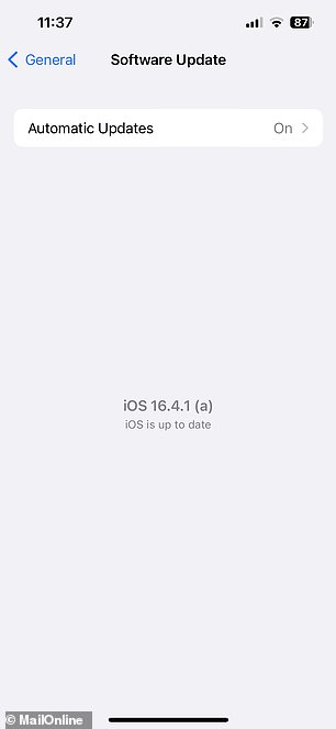 完成后,您的操作系统将显示为 iOS 16.4.1 (a)、iPadOS 16.4.1 (a) 或 macOS 13.3.1 (a)
