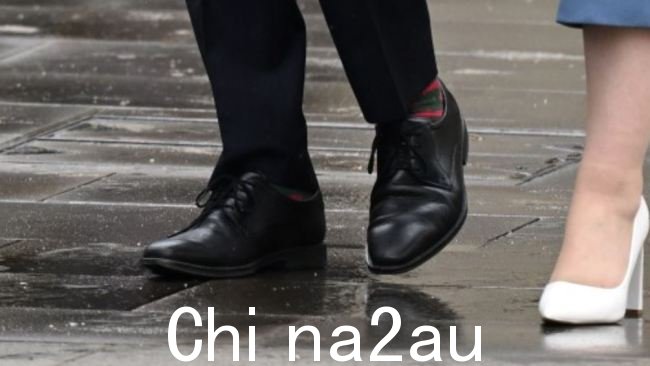 首相在加冕典礼上也穿着 Rabbitohs 袜子。图片:Jeff Spicer/Getty Images