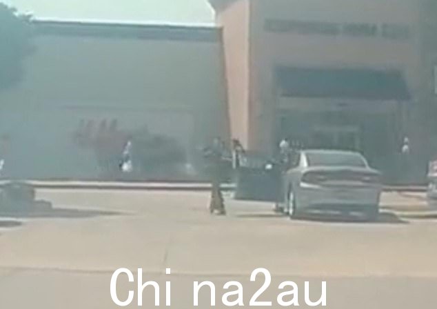 枪手的动机和名字仍然未知,尽管行车记录仪录像显示枪手开枪并杀死多名平民的那一刻——据报道,警察正在追捕据信协助袭击的第二名枪手