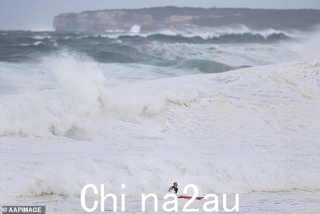 周一早上,只有最勇敢的冲浪者才能在邦迪冒险下水