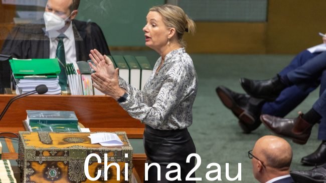 Sussan Ley 质疑为什么核心通胀率在工党领导下上升。图片:NCA NewsWire / Gary Ramage