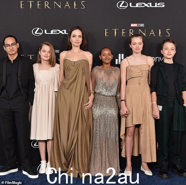熊妈妈:(从左到右)Maddox、Vivienne、Angelina、Knox、Shiloh 和 Zahara 参加 2021 年《永恒族》在洛杉矶的首映式