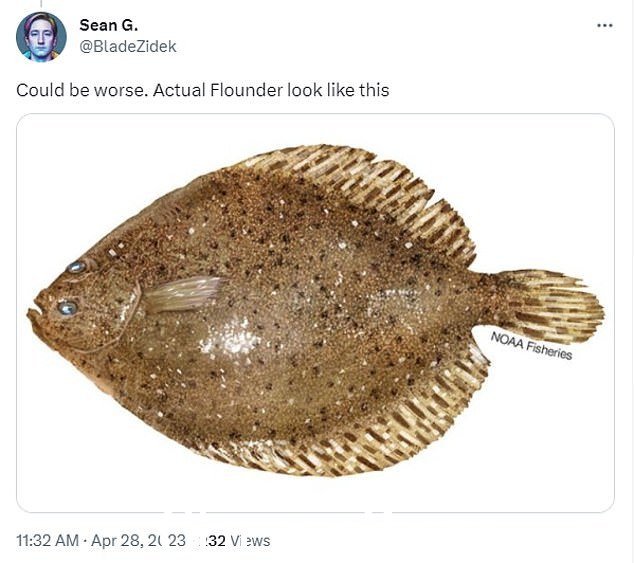 Twitter 用户一直在呼吁 Flounder 的新 CGI 改头换面,说他看起来“瘦弱”和“沮丧”。有些人甚至声称他看起来像演员 Steve Buscemi
