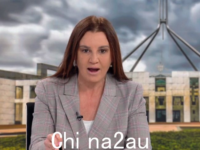 兰比参议员支持政府的澳大利亚住房未来基金。图片:Sky News Australia